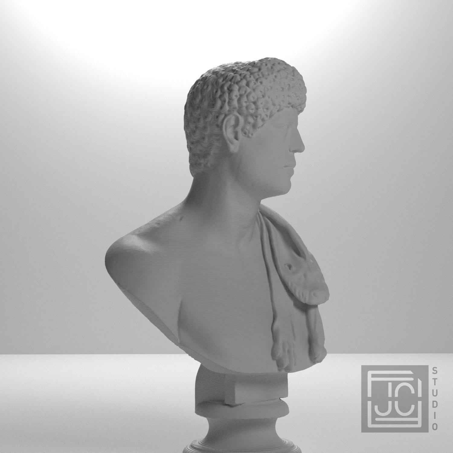 Portrait with Panther Skin 3D Printed Collectible Bust