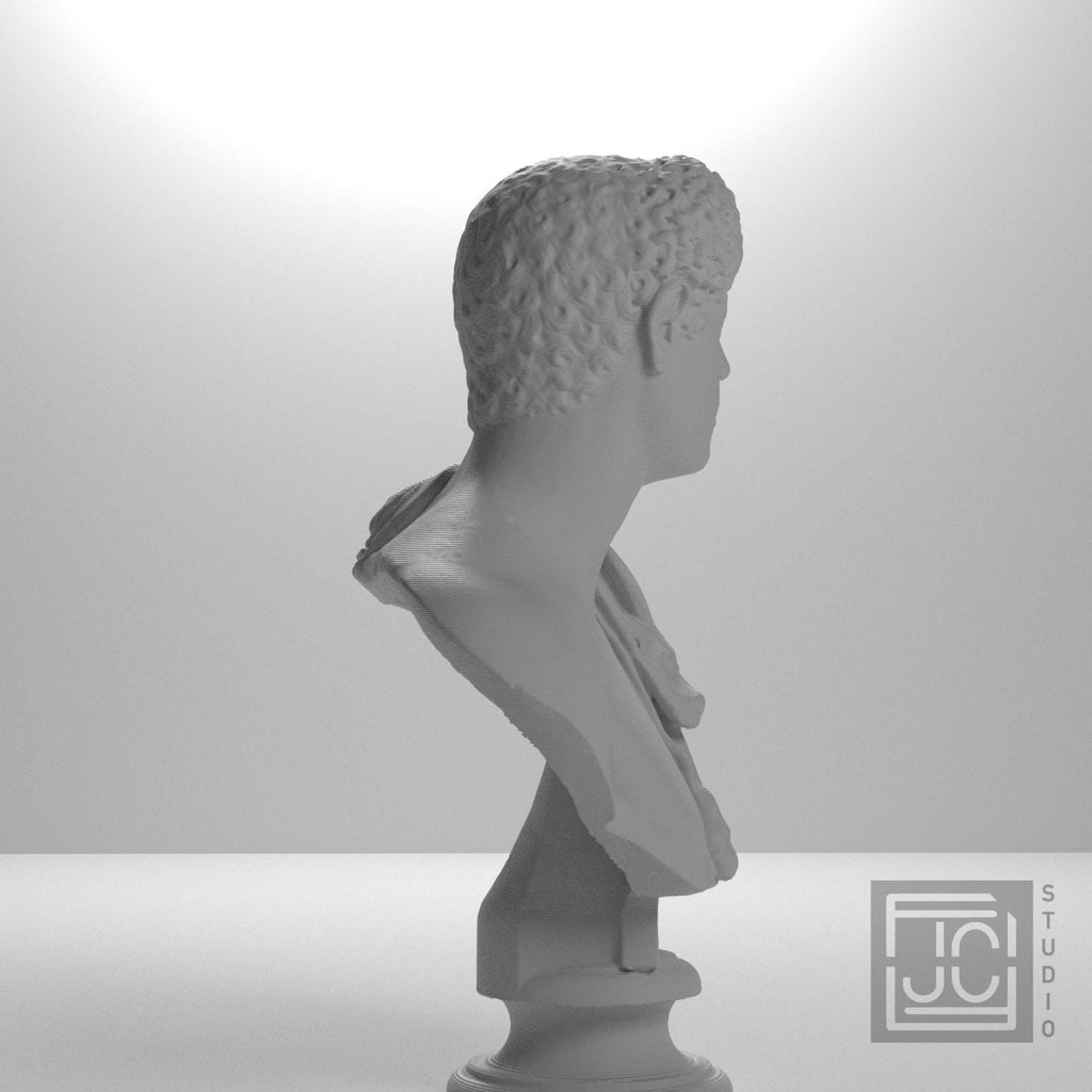 Portrait with Panther Skin 3D Printed Collectible Bust