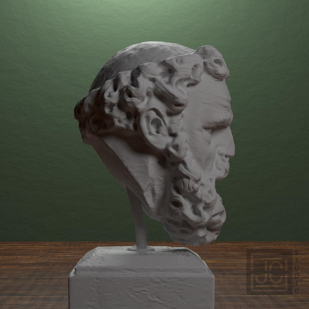 Head of a Bearded Man 3D Printed Museum Replica