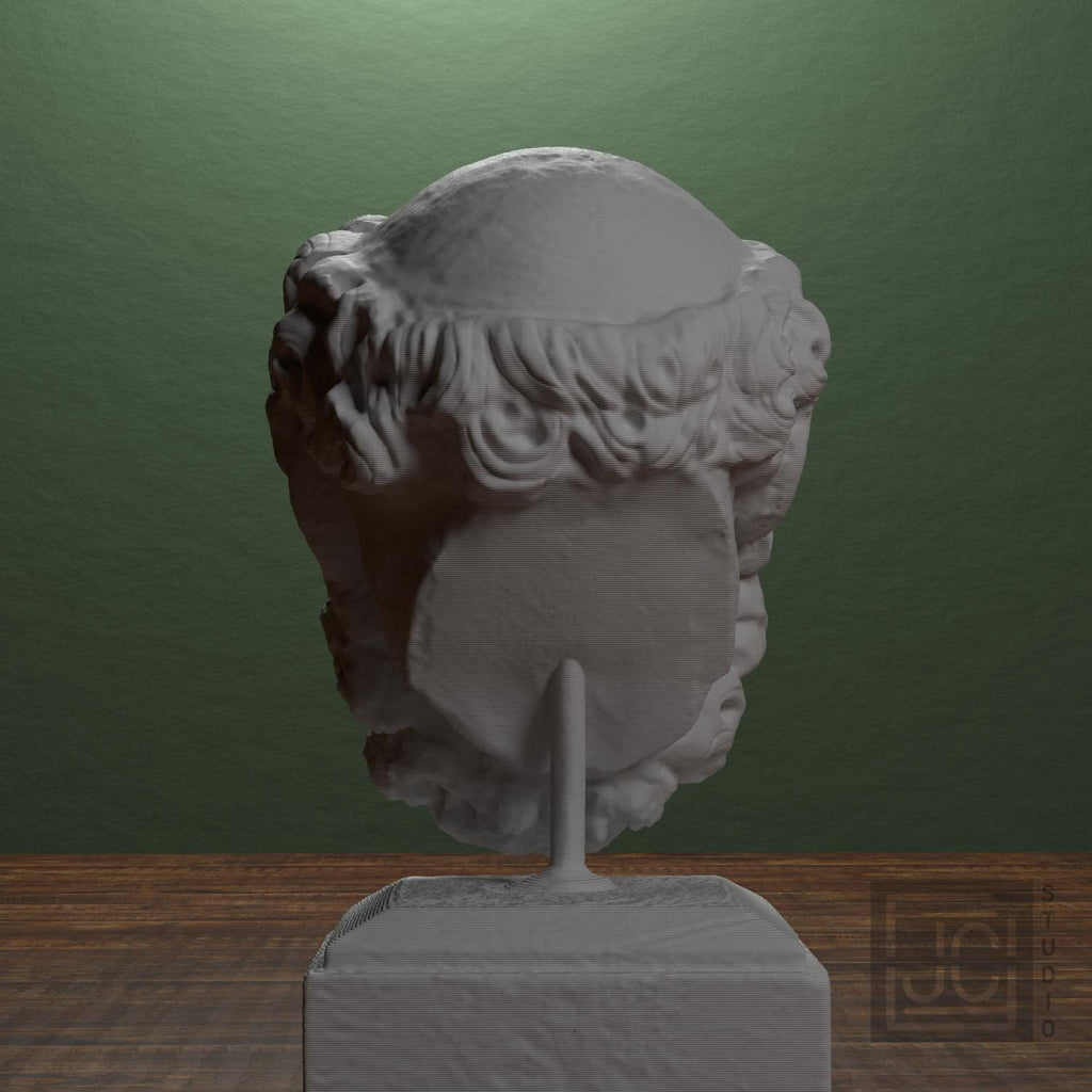 Head of a Bearded Man 3D Printed Museum Replica