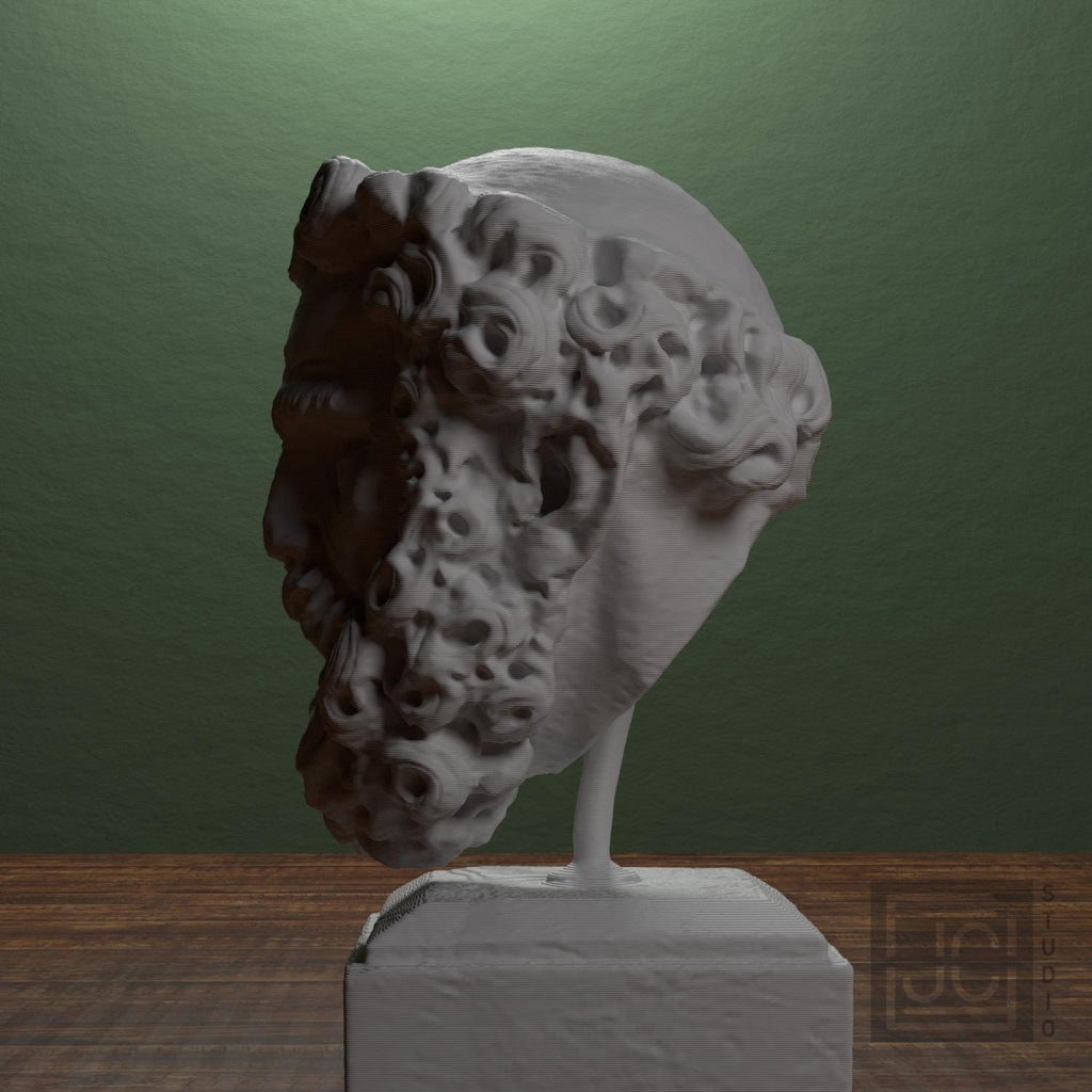 Head of a Bearded Man 3D Printed Museum Replica
