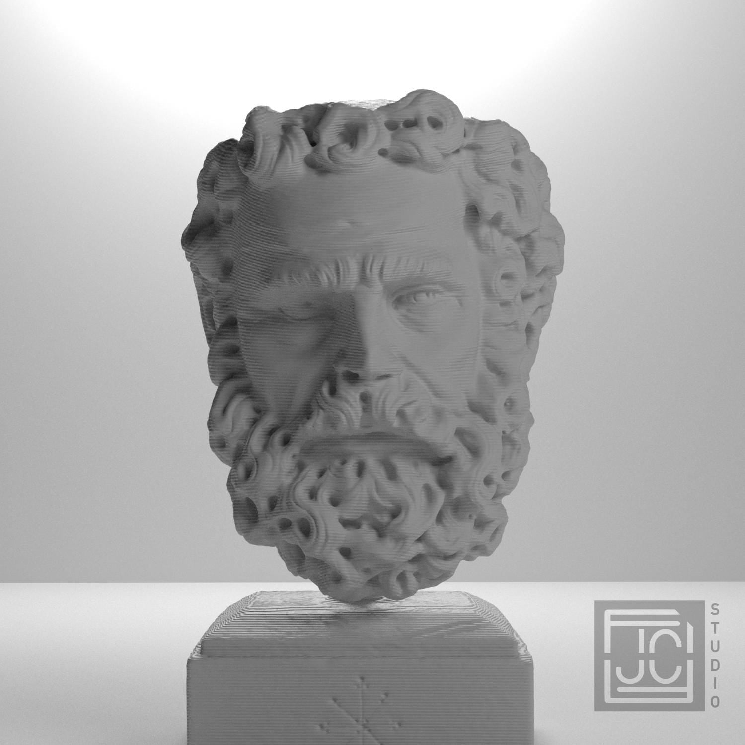 Head of a Bearded Man 3D Printed Museum Replica