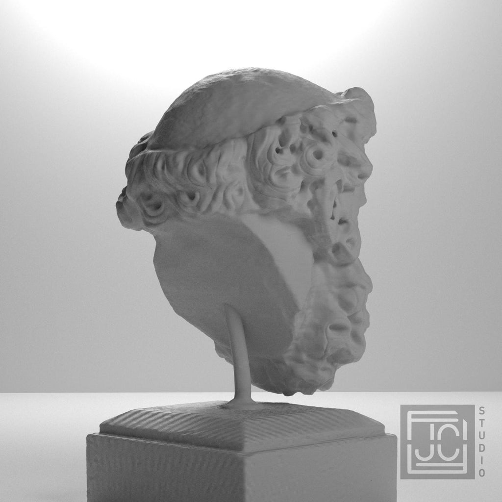 Head of a Bearded Man 3D Printed Museum Replica