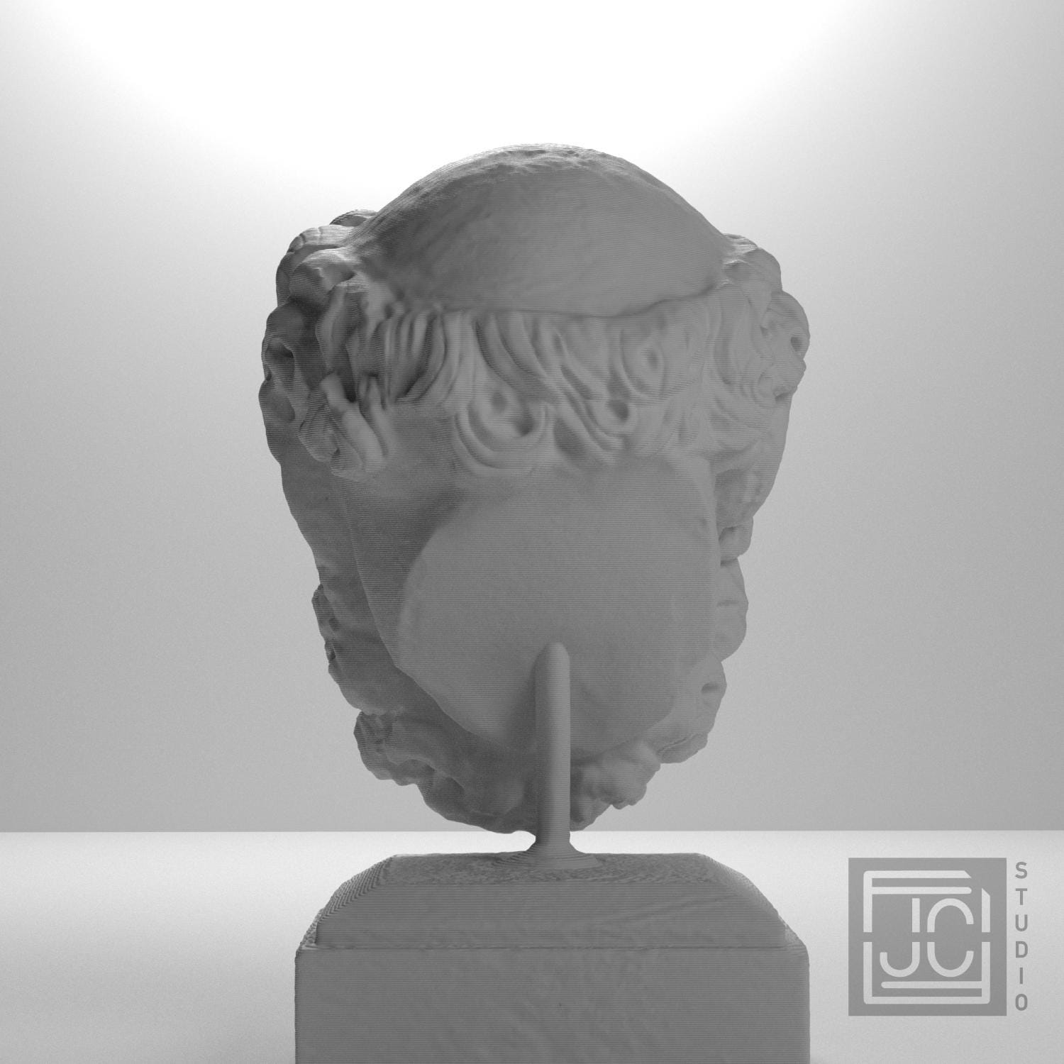 Head of a Bearded Man 3D Printed Museum Replica