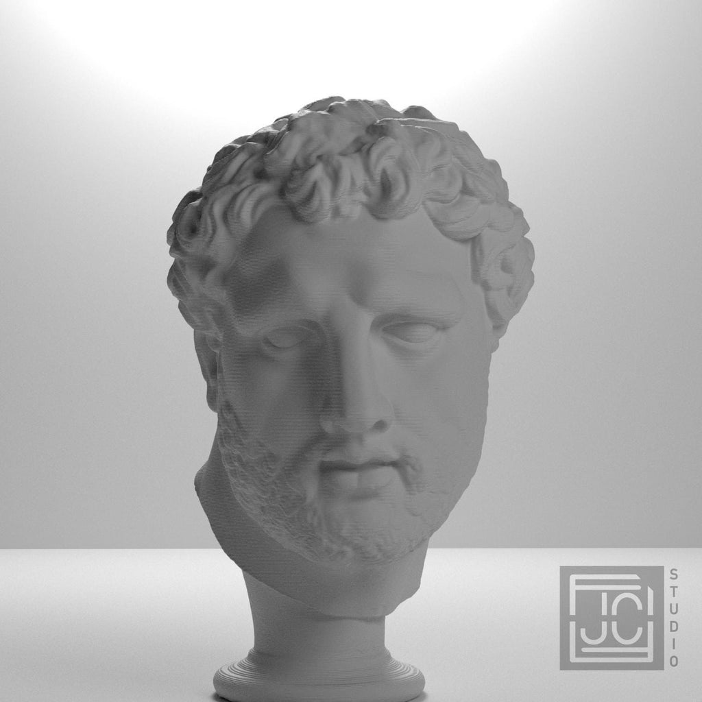 Ancient Portrait Head No. 0448 3D Printed Collectible Bust