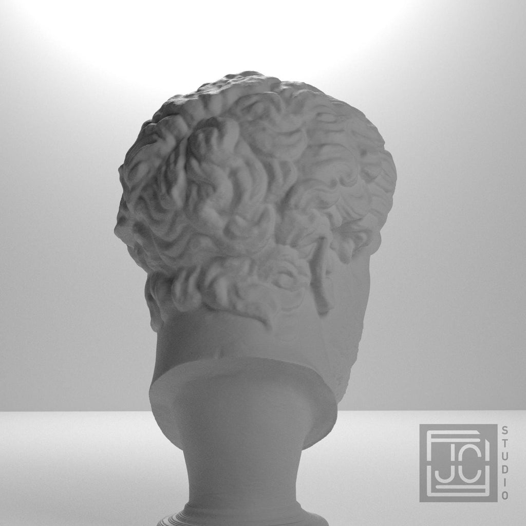 Ancient Portrait Head No. 0448 3D Printed Collectible Bust