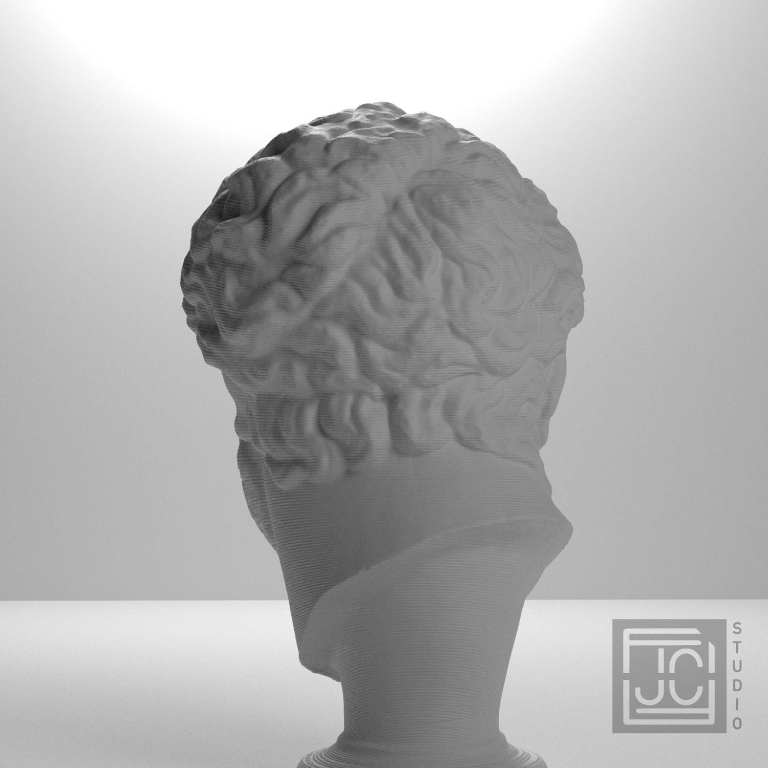 Ancient Portrait Head No. 0448 3D Printed Collectible Bust