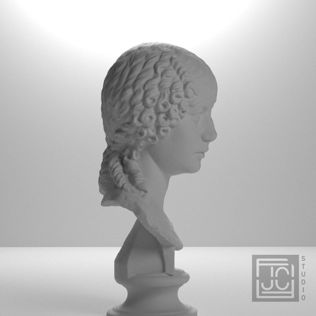 Minatia Polla 3D Printed Museum Portrait Replica