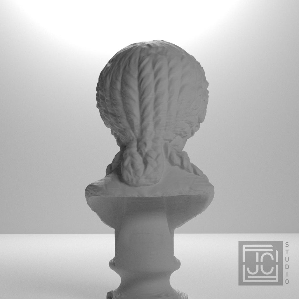 Minatia Polla 3D Printed Museum Portrait Replica