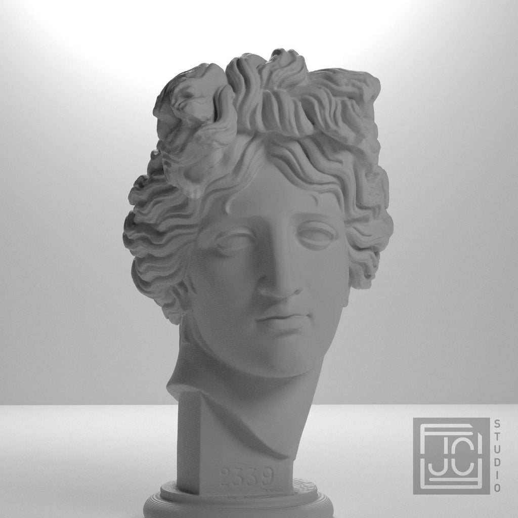 Apollo Giustiniani 3D Printed Collectible Bust