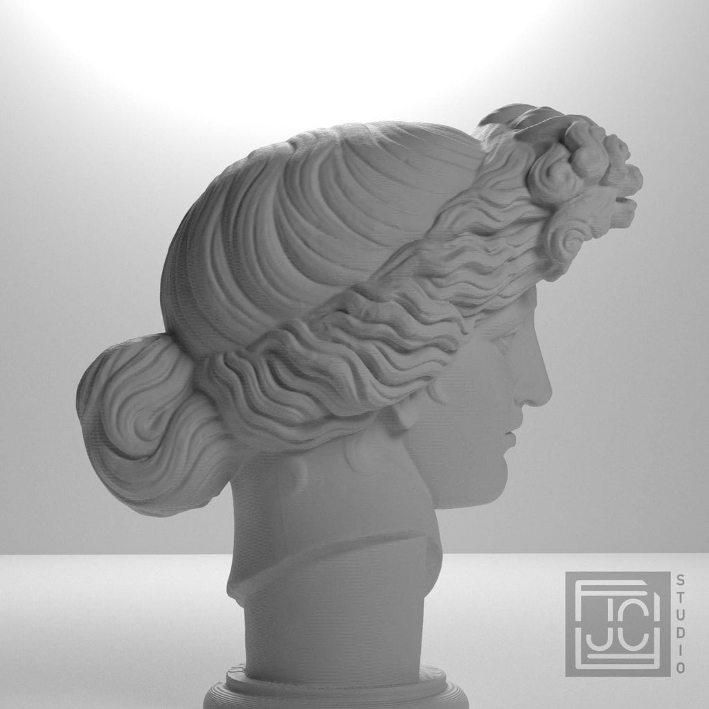Apollo Giustiniani 3D Printed Collectible Bust