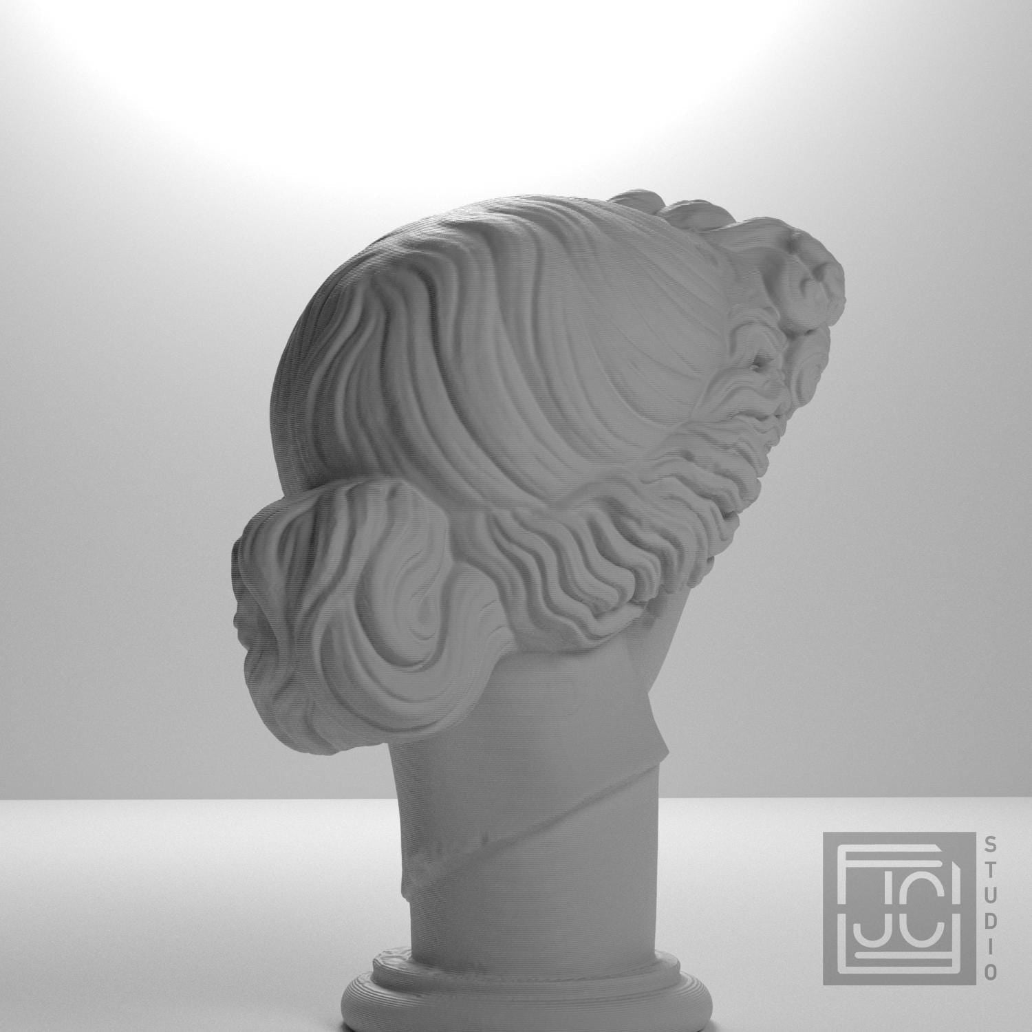 Apollo Giustiniani 3D Printed Collectible Bust