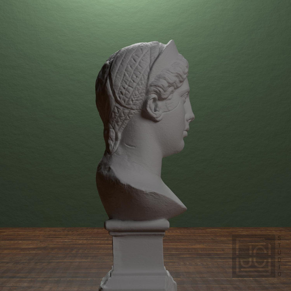 Juno 3D Printed Collectible Bust