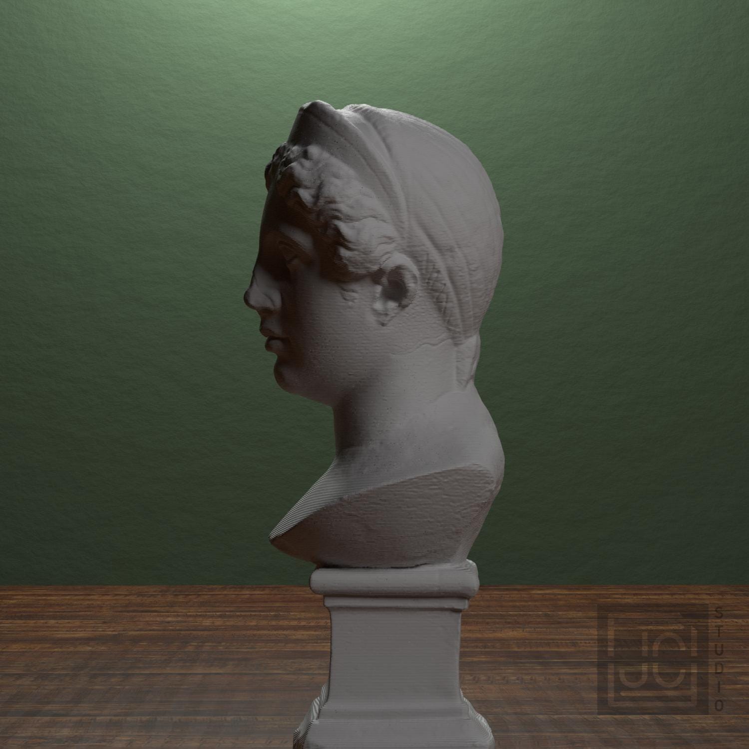 Juno 3D Printed Collectible Bust
