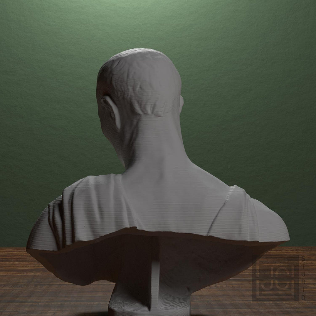 Museum Portrait 3D Printed Collectible Bust