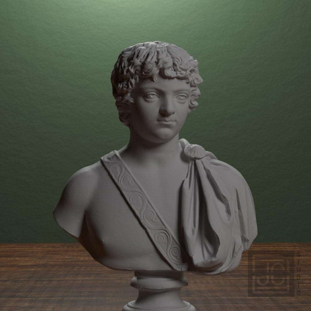 Young Caracalla 3D Printed Collectible Bust