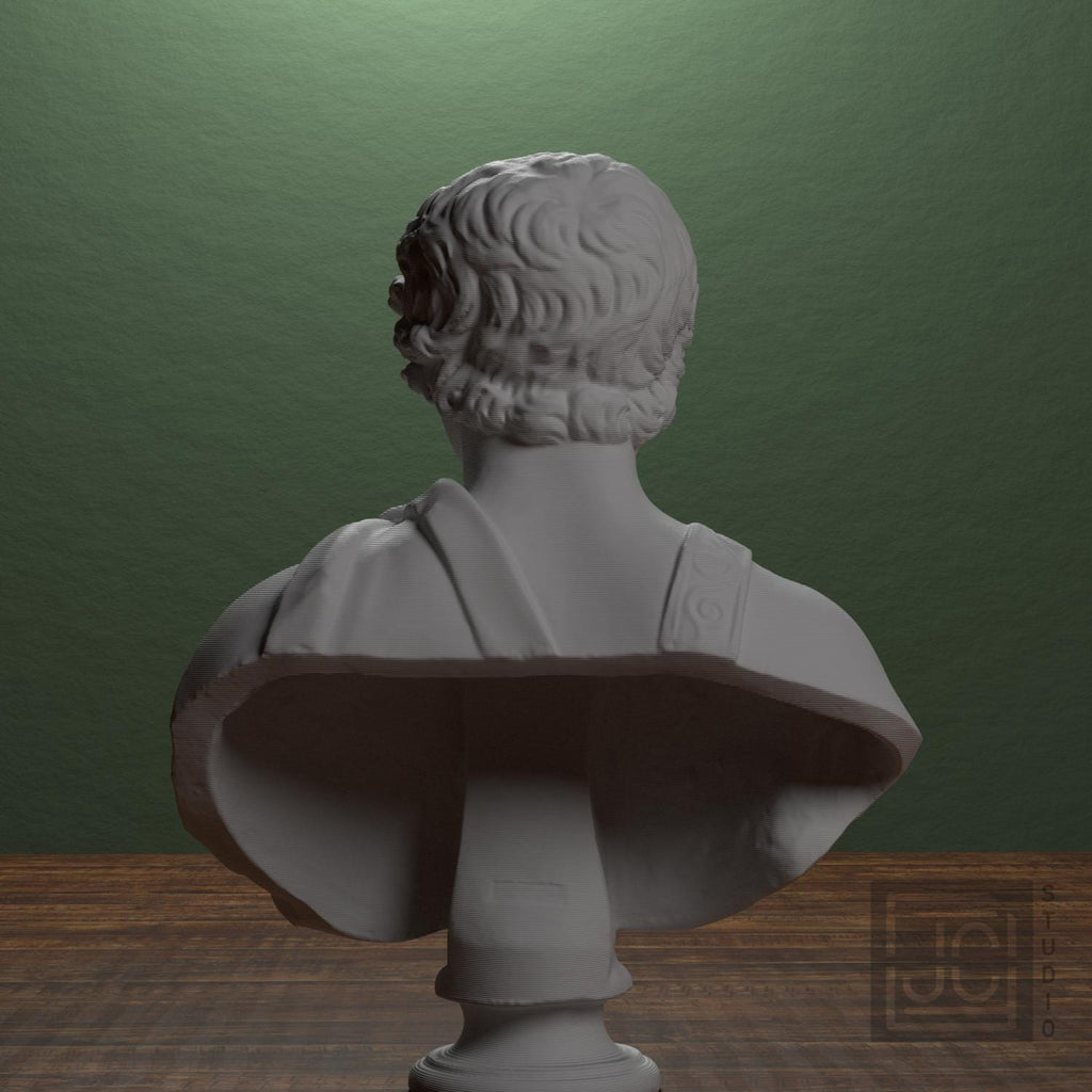 Young Caracalla 3D Printed Collectible Bust
