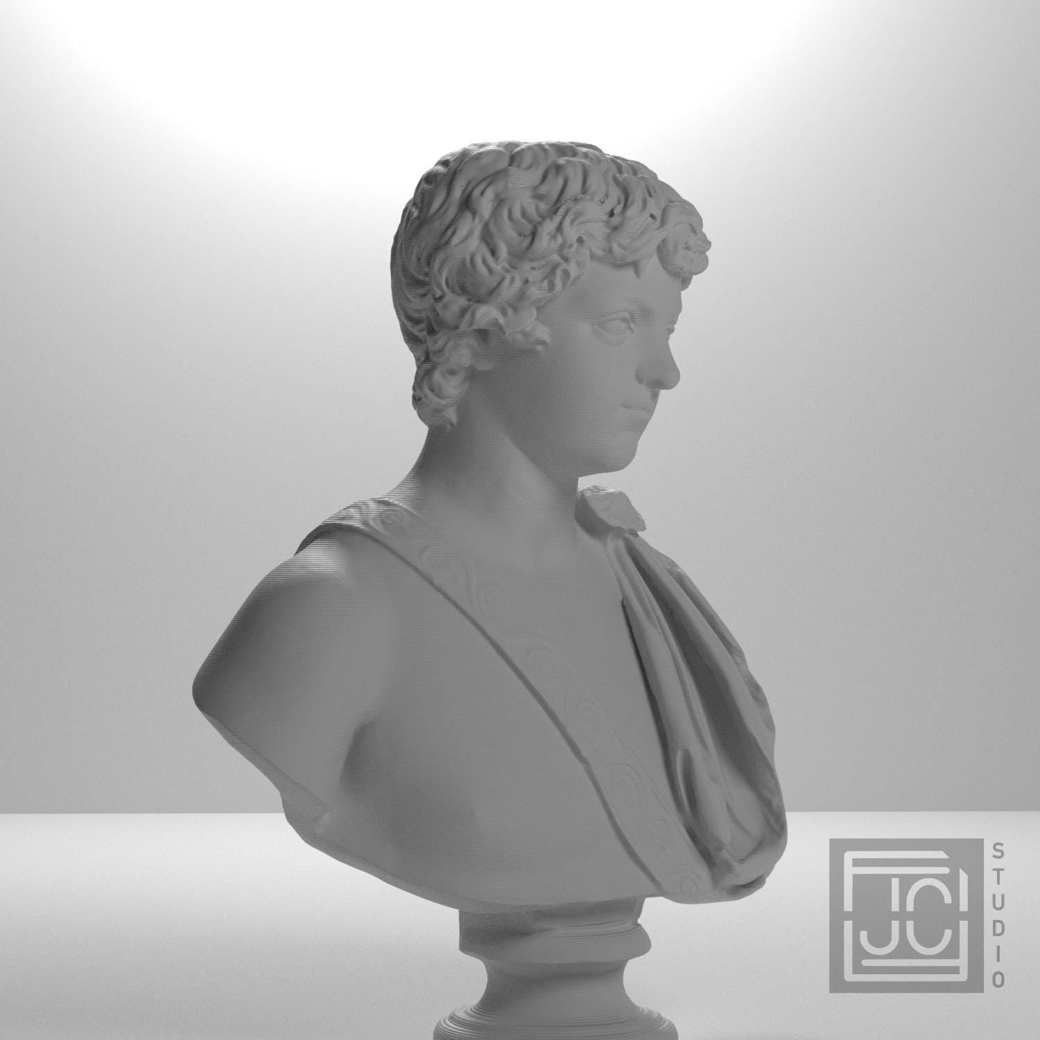 Young Caracalla 3D Printed Collectible Bust