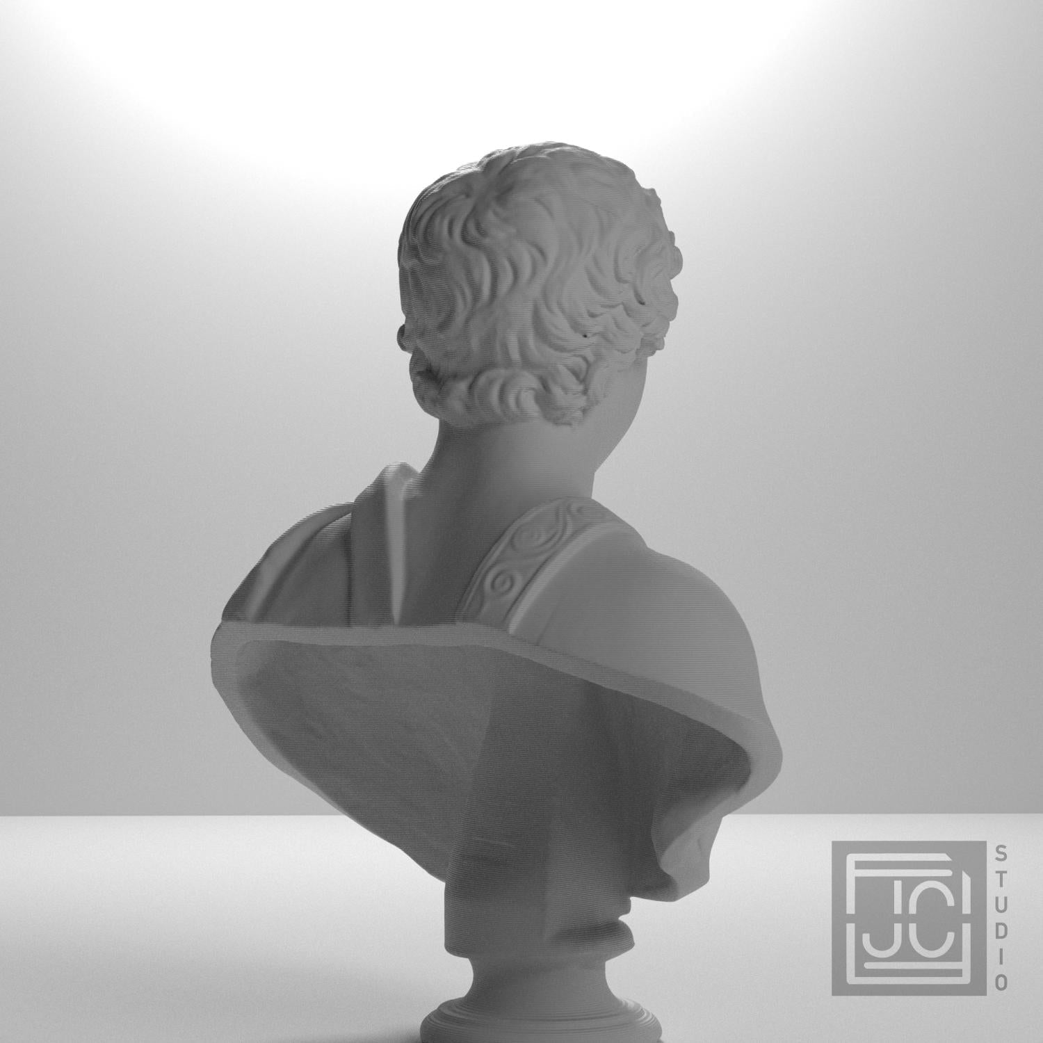Young Caracalla 3D Printed Collectible Bust
