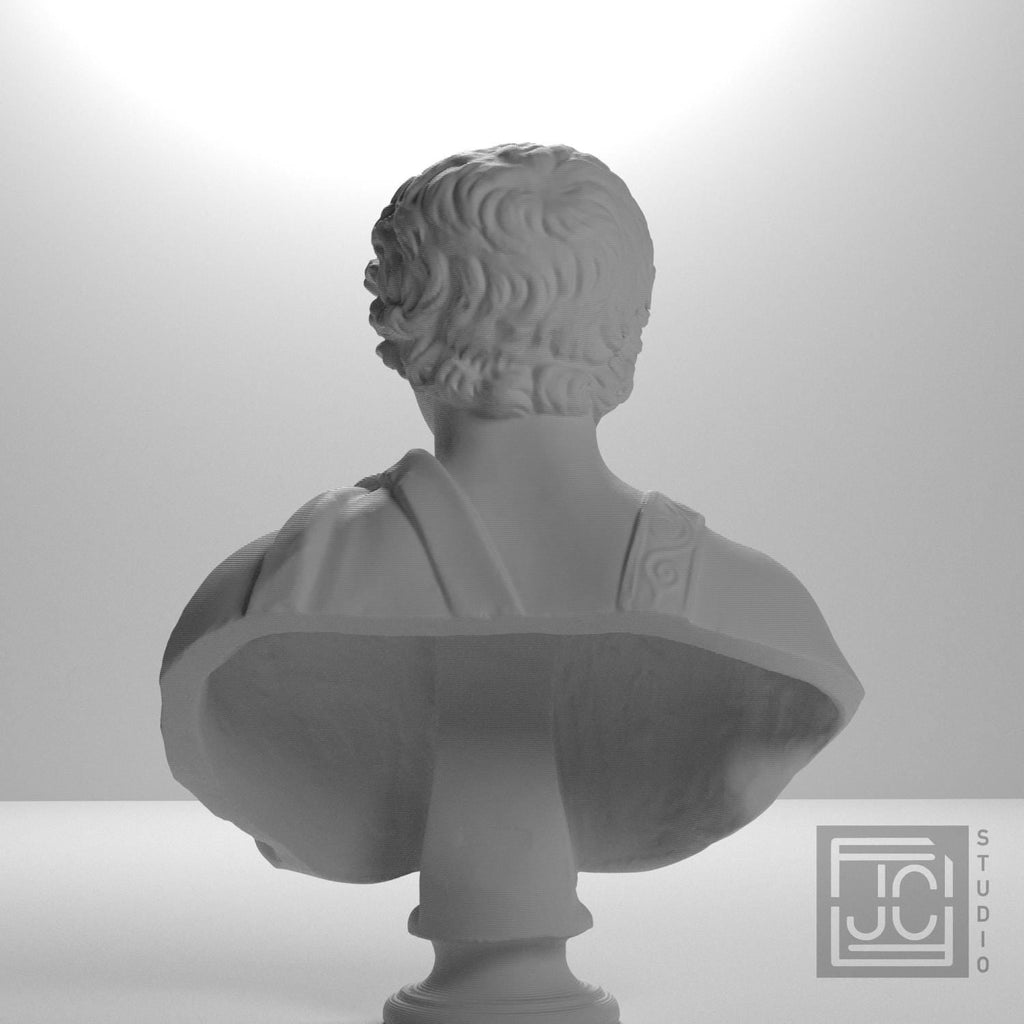 Young Caracalla 3D Printed Collectible Bust