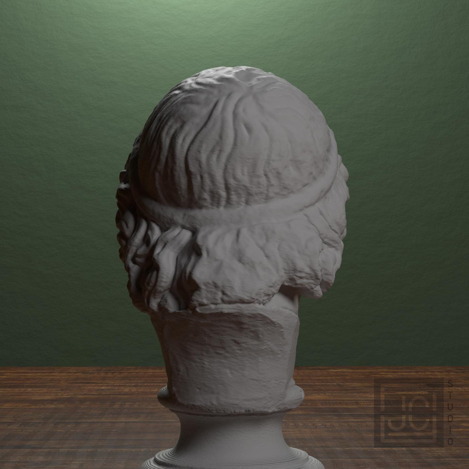 Bearded Zeus 3D Printed Collectible Bust