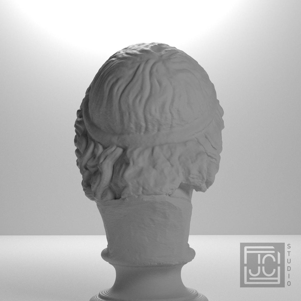 Bearded Zeus 3D Printed Collectible Bust