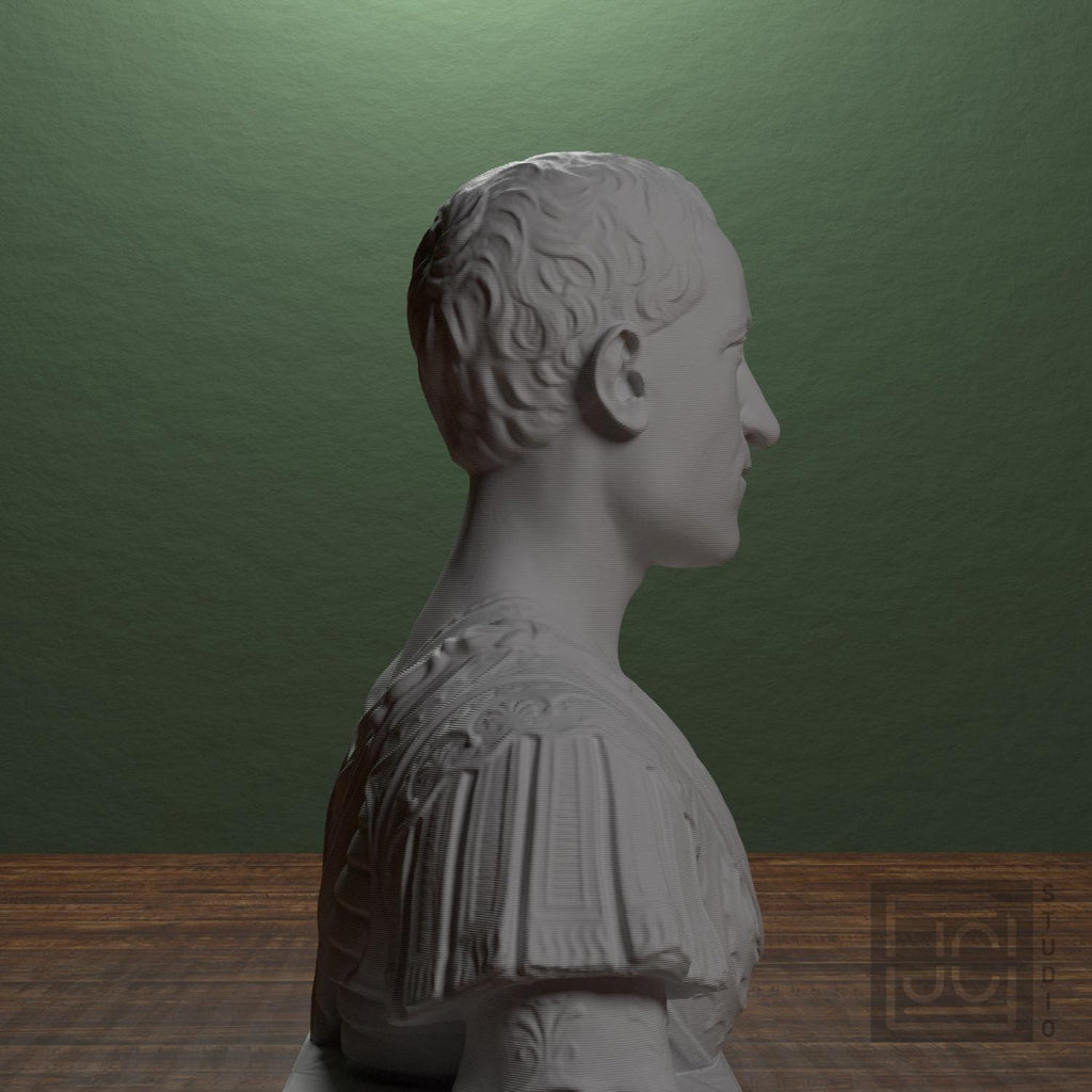 Giovanni di Cosimo de' Medici 3D Printed Collectible Bust