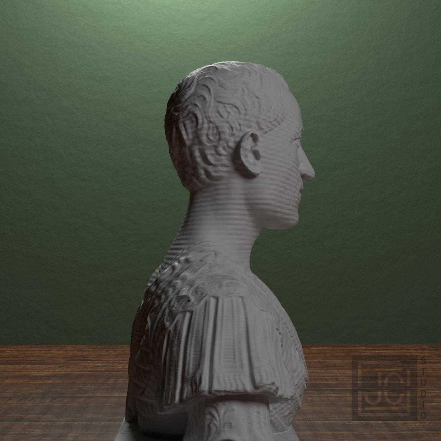 Giovanni di Cosimo de' Medici 3D Printed Collectible Bust
