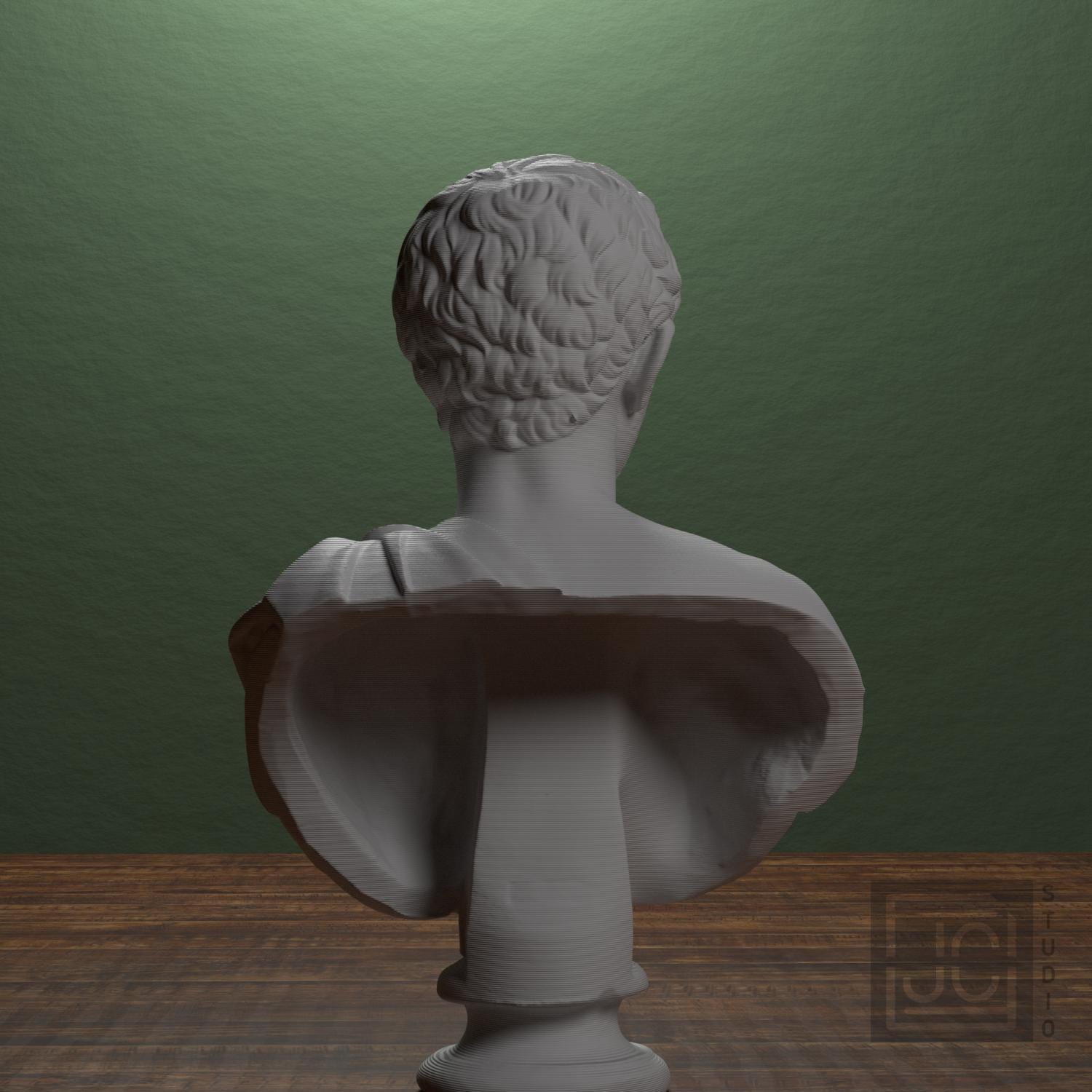 Man Wearing an Army Cape 3D Printed Museum Portrait Replica
