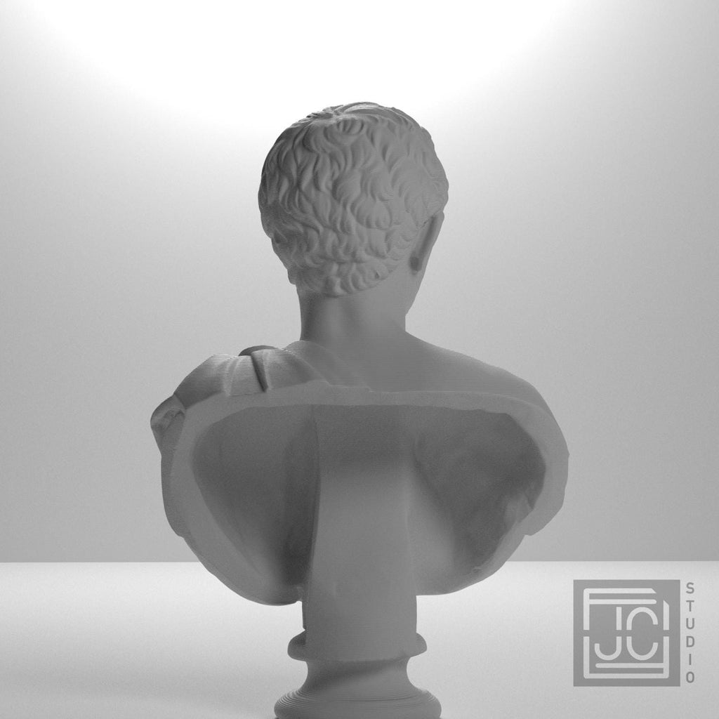 Man Wearing an Army Cape 3D Printed Museum Portrait Replica