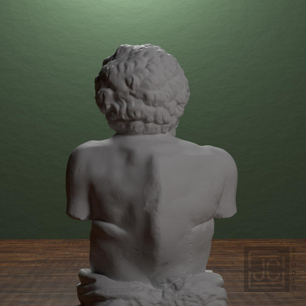 Aesop 3D Printed Collectible Bust