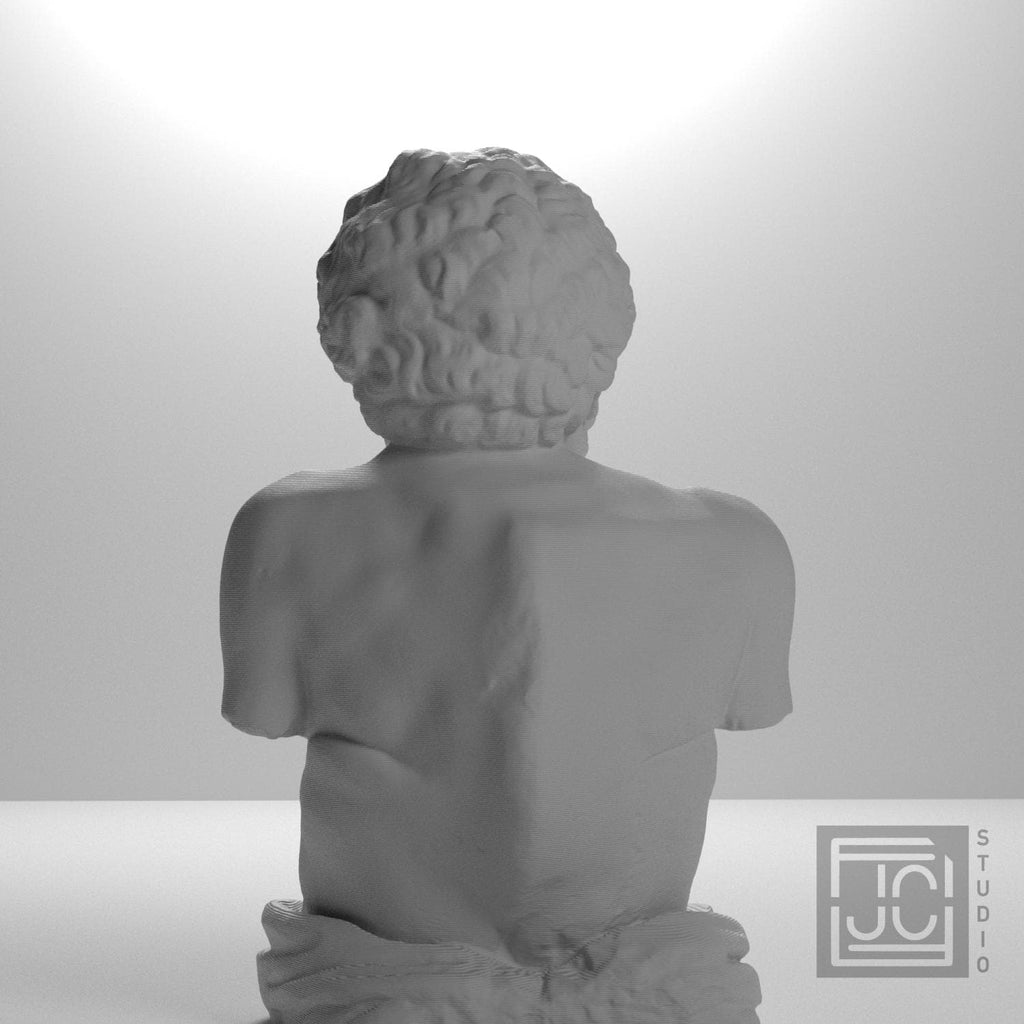 Aesop 3D Printed Collectible Bust