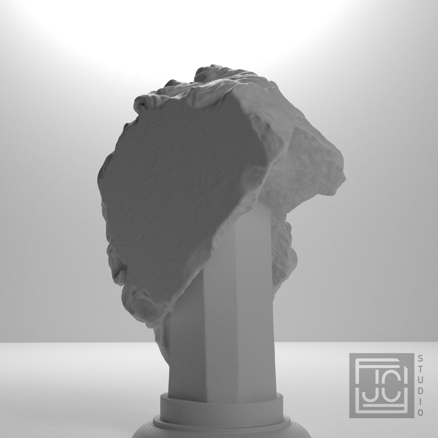 Head of a Giant 3D Printed Museum Replica