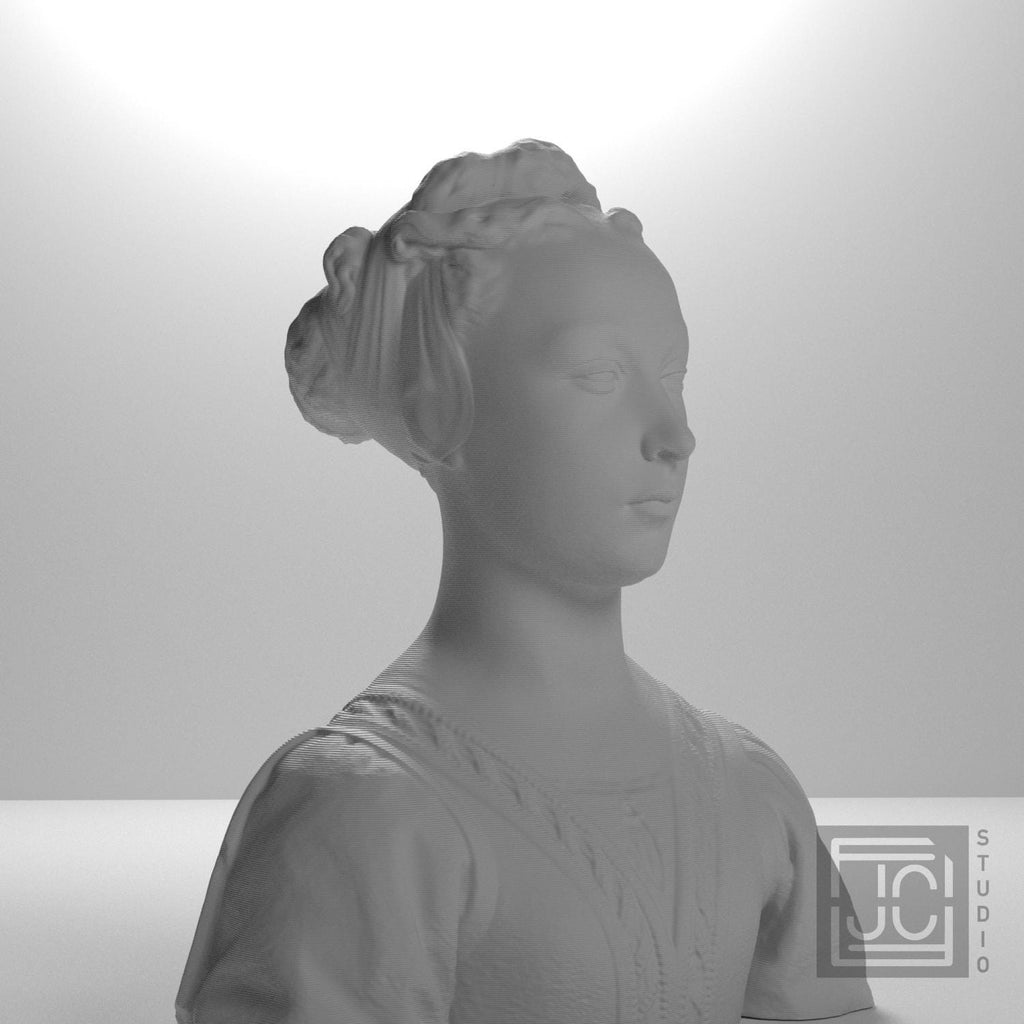 Portrait of a Young Woman 3D Printed Collectible Bust