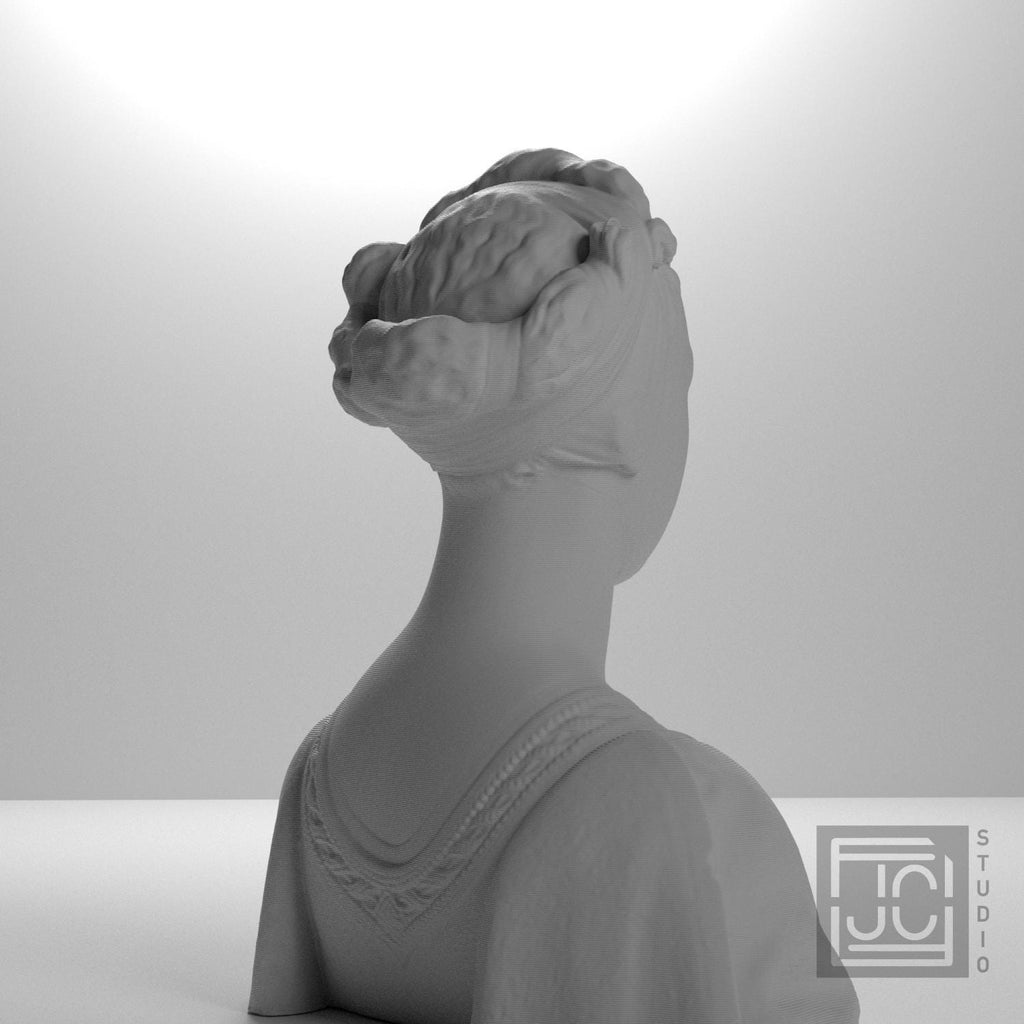 Portrait of a Young Woman 3D Printed Collectible Bust