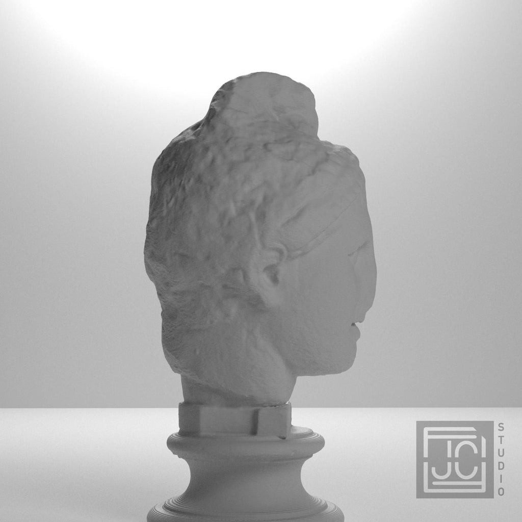 Apollo Fragment 3D Printed Collectible Bust
