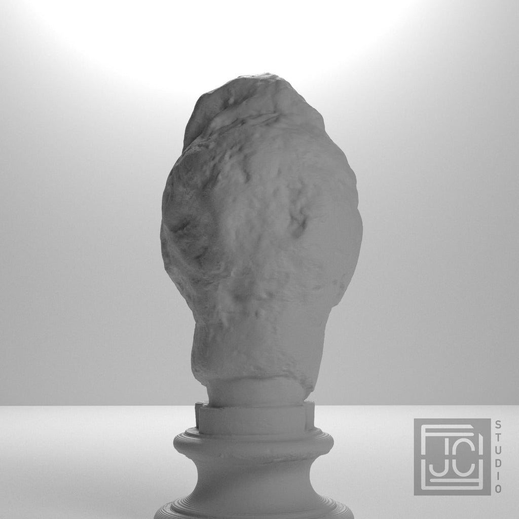 Apollo Fragment 3D Printed Collectible Bust
