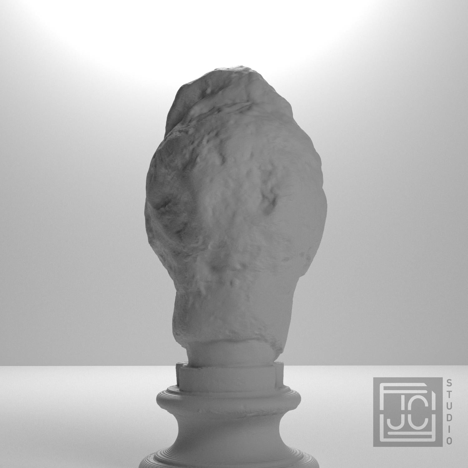 Apollo Fragment 3D Printed Collectible Bust