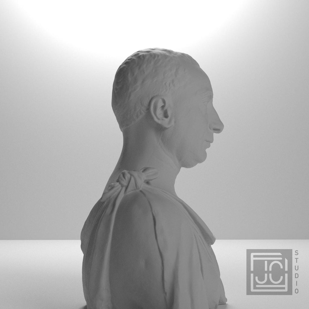 Francesco di Tommaso Sassetti 3D Printed Collectible Bust