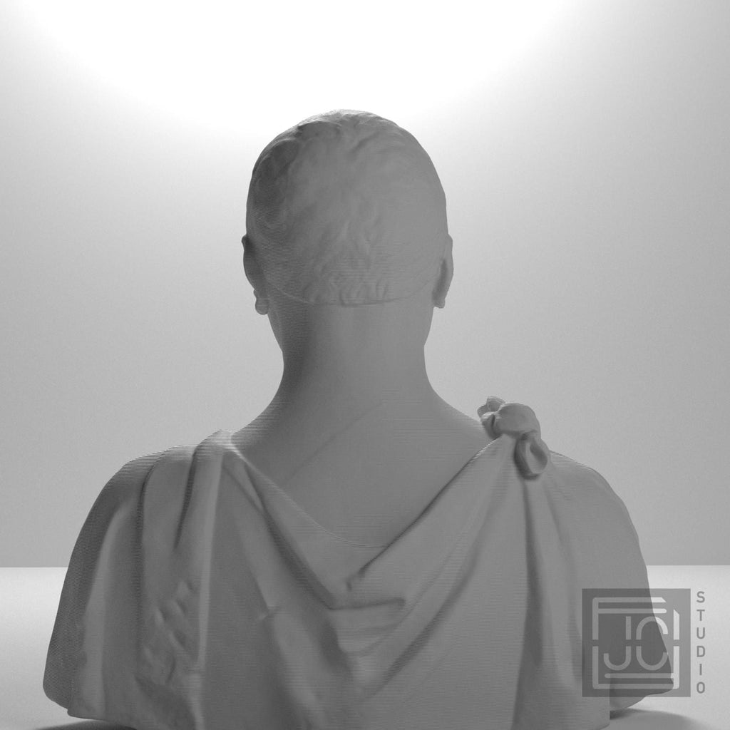 Francesco di Tommaso Sassetti 3D Printed Collectible Bust