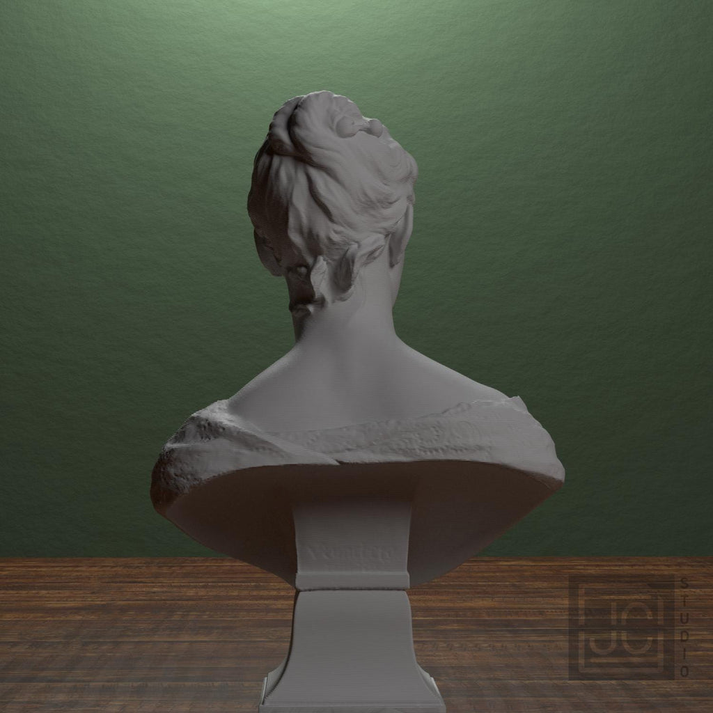 Anna Bredberg 3D Printed Collectible Bust