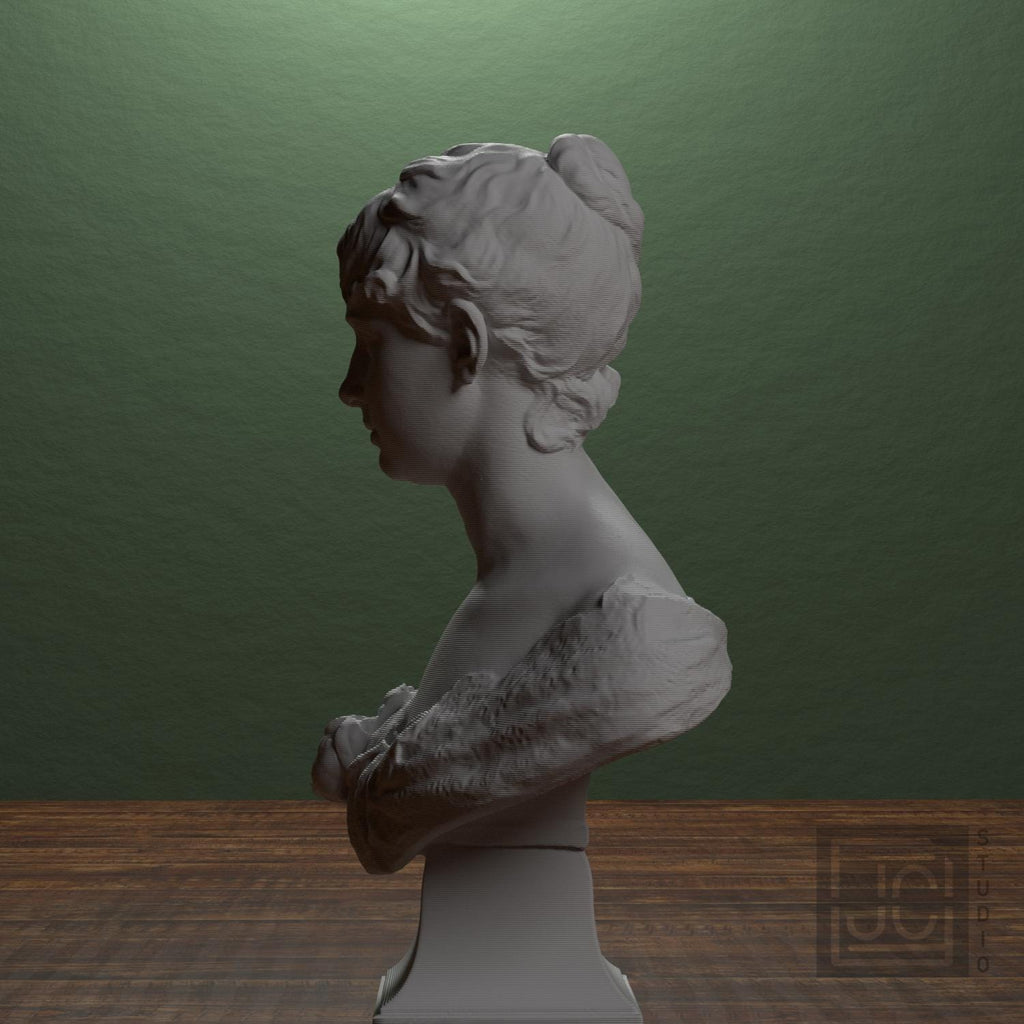Anna Bredberg 3D Printed Collectible Bust