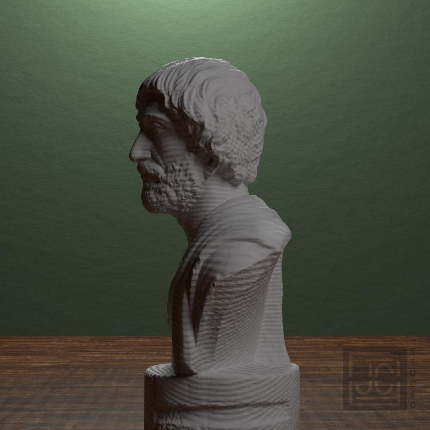 Portrait Bust of a Barbarian 3D Printed Museum Replica