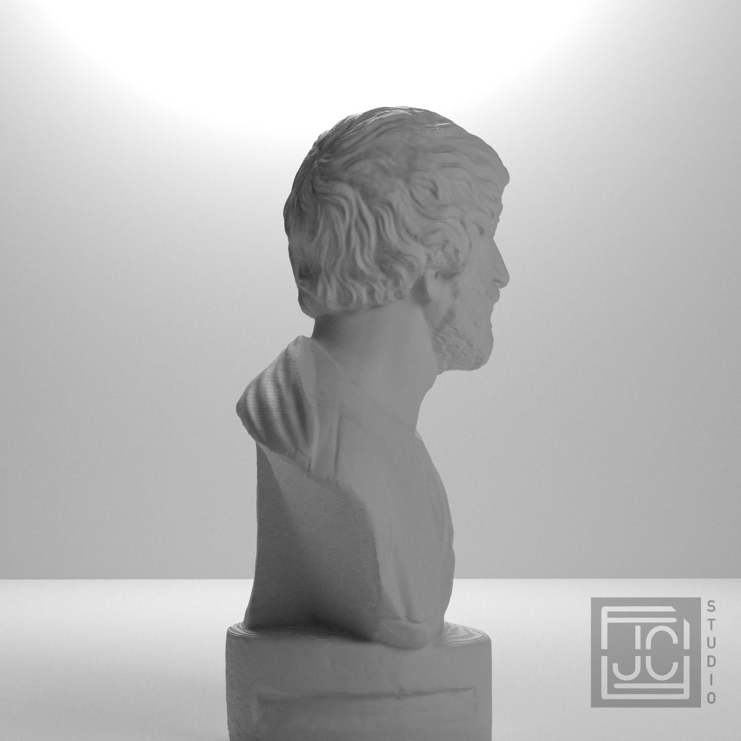 Portrait Bust of a Barbarian 3D Printed Museum Replica