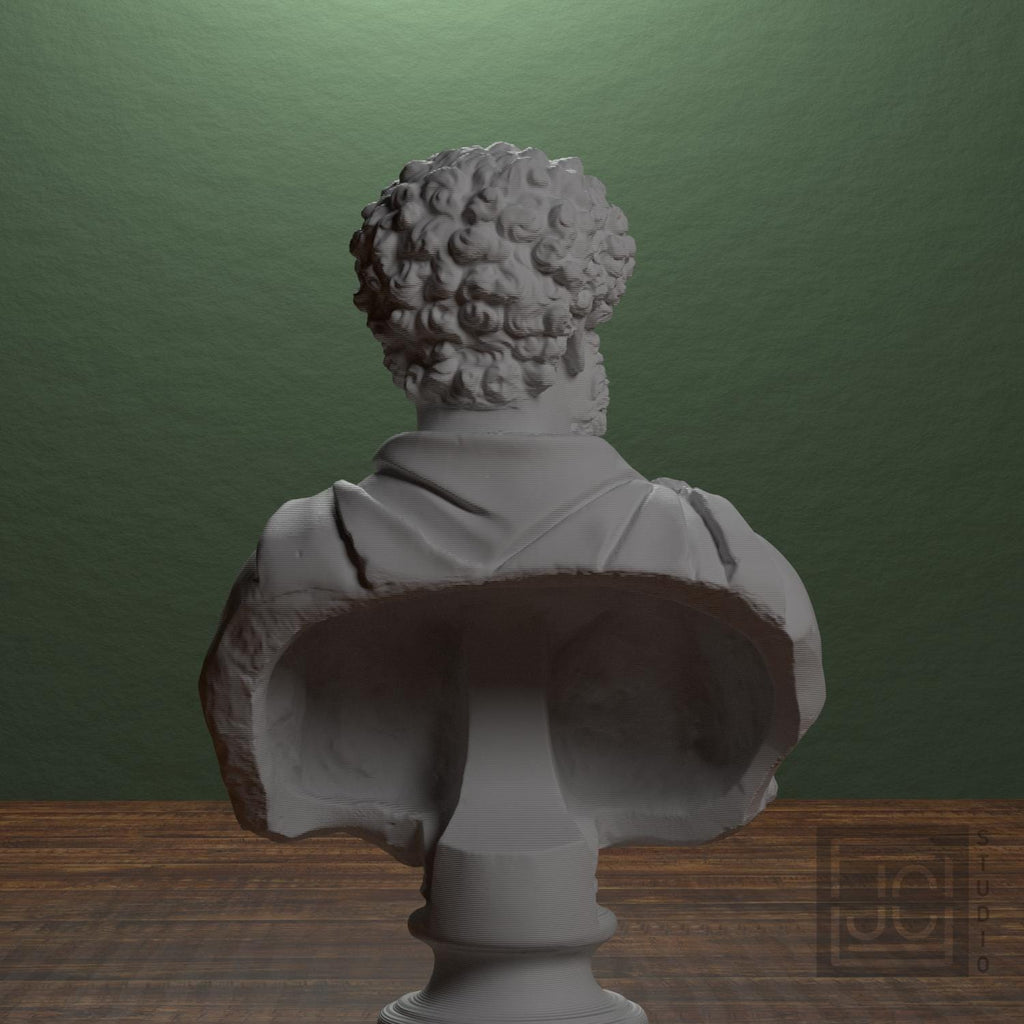 Draped Man (Formerly Clodius Albinus) 3D Printed Collectible Bust