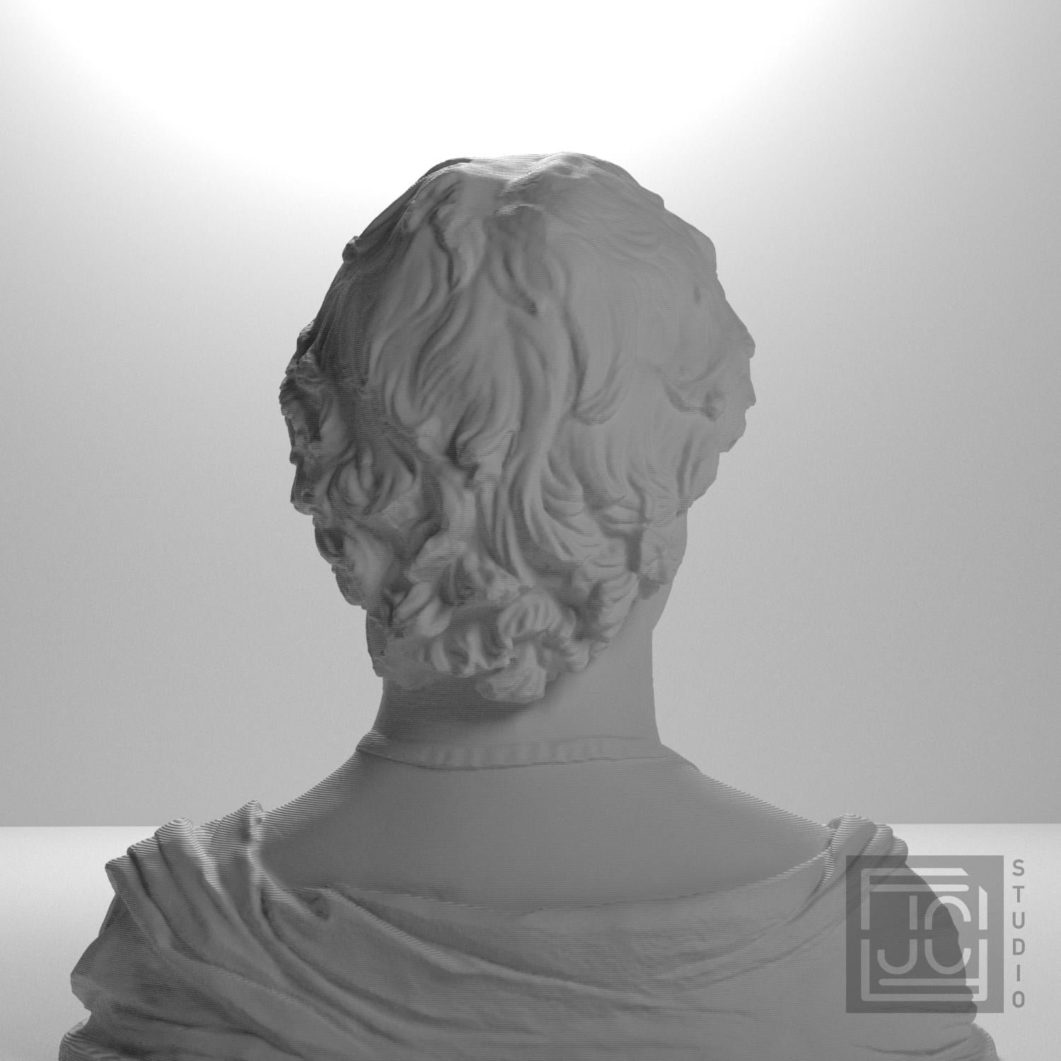 Young Man with a Medallion 3D Printed Collectible Bust