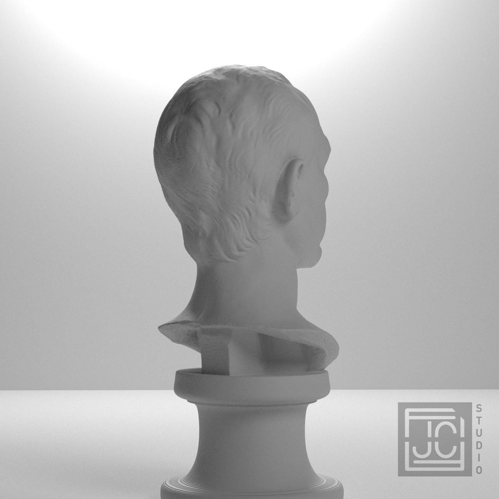 Julius Caesar Portrait No. 0344 3D Printed Collectible Bust