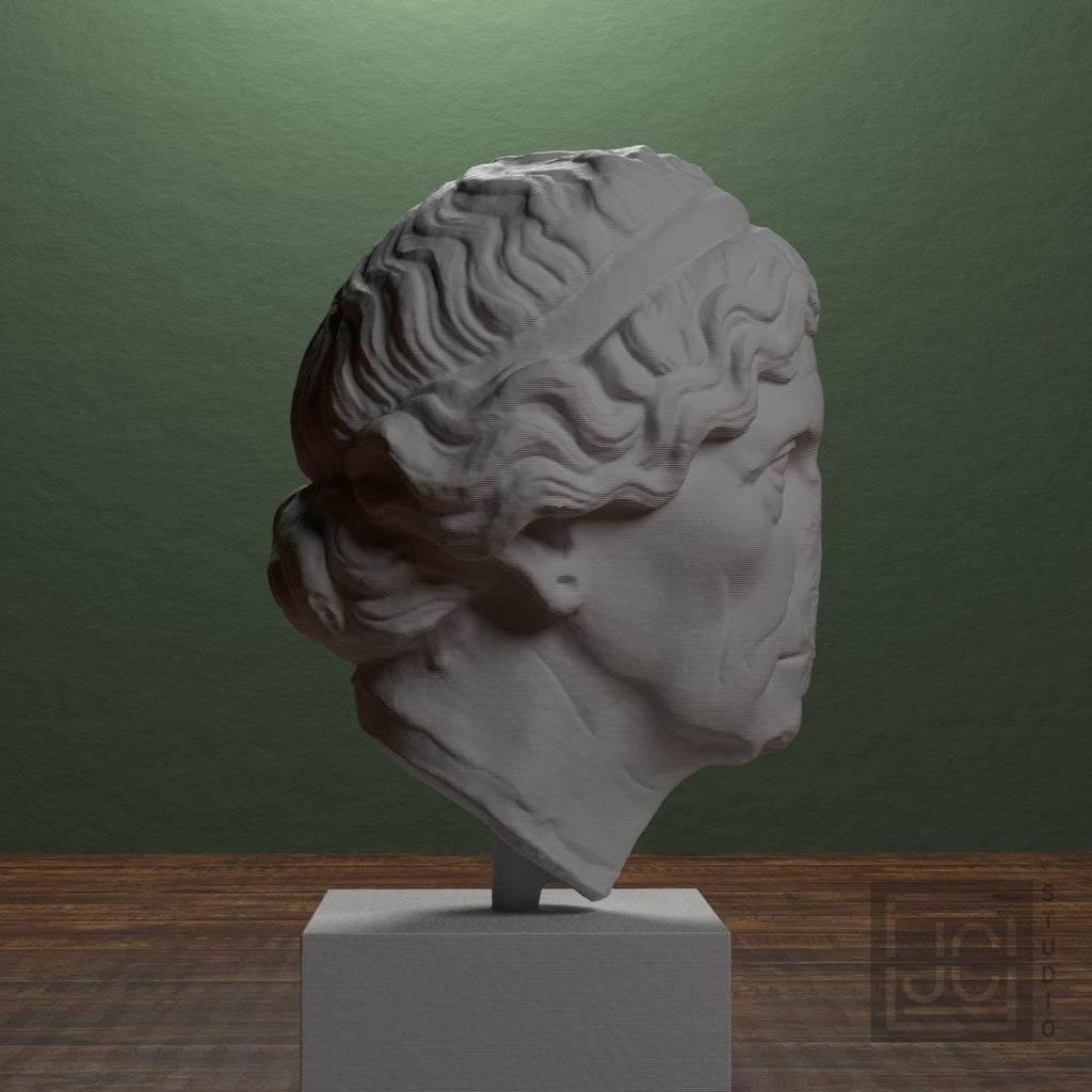 Lysimache (Elderly Woman) 3D Printed Collectible Bust