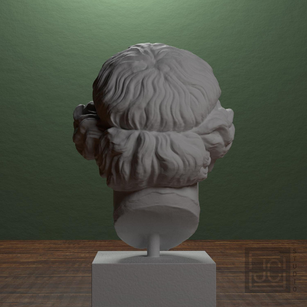 Lysimache (Elderly Woman) 3D Printed Collectible Bust