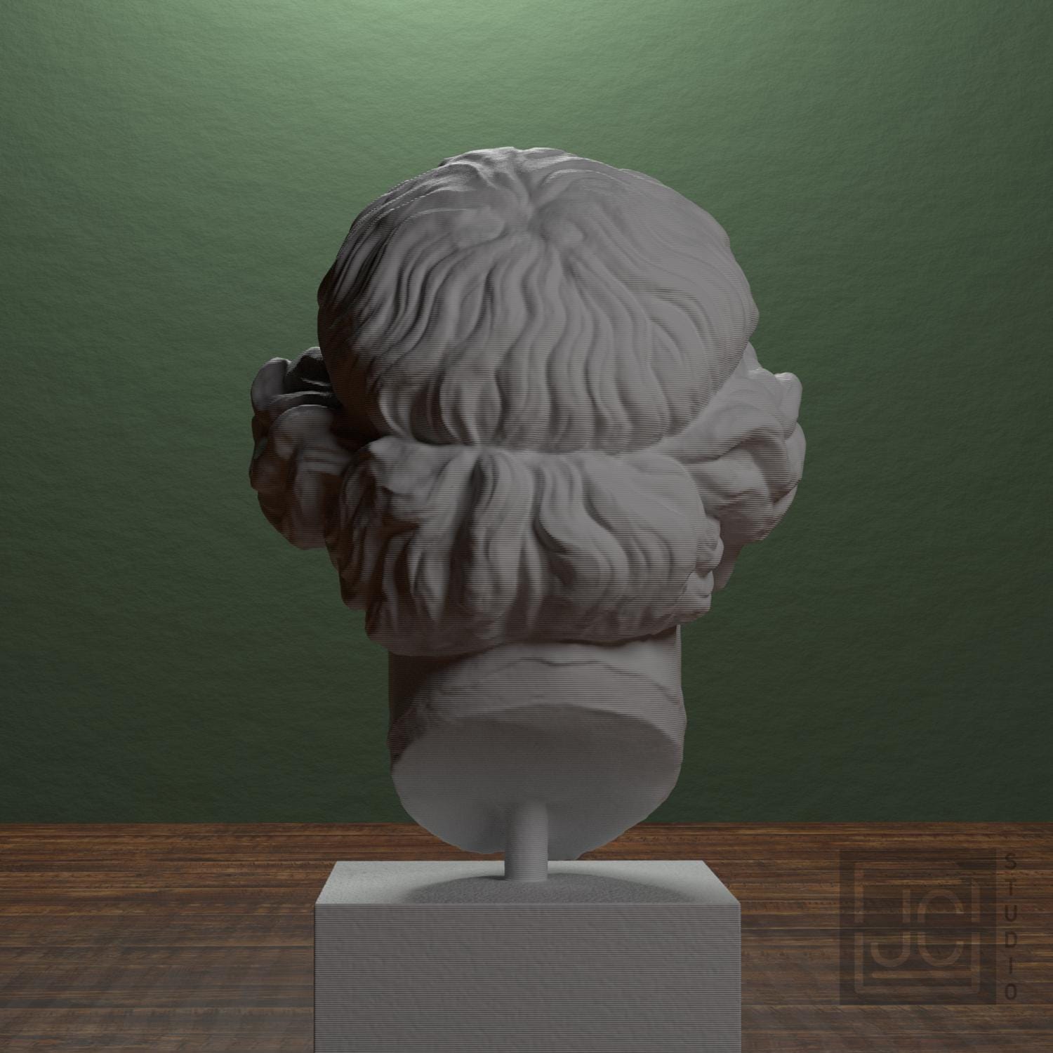 Lysimache (Elderly Woman) 3D Printed Collectible Bust